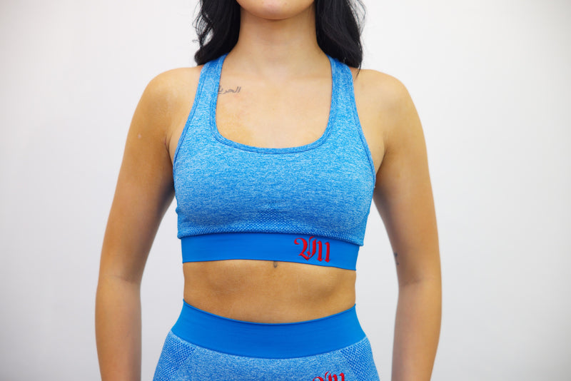 Longline Tank Sports Bra + Wrap High Waisted Legging - Blue/Red Embroidery – Set - SpartaV11